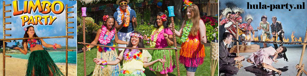 Hula party dancers